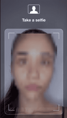 Nametag Identity Verification