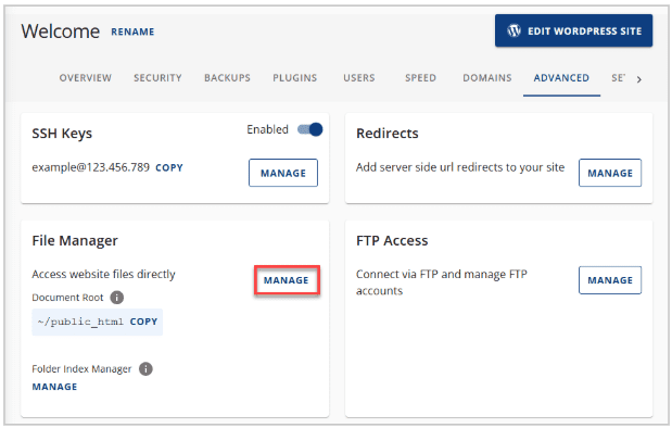 Under the File Manager section, click MANAGE