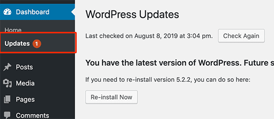 WordPress updates