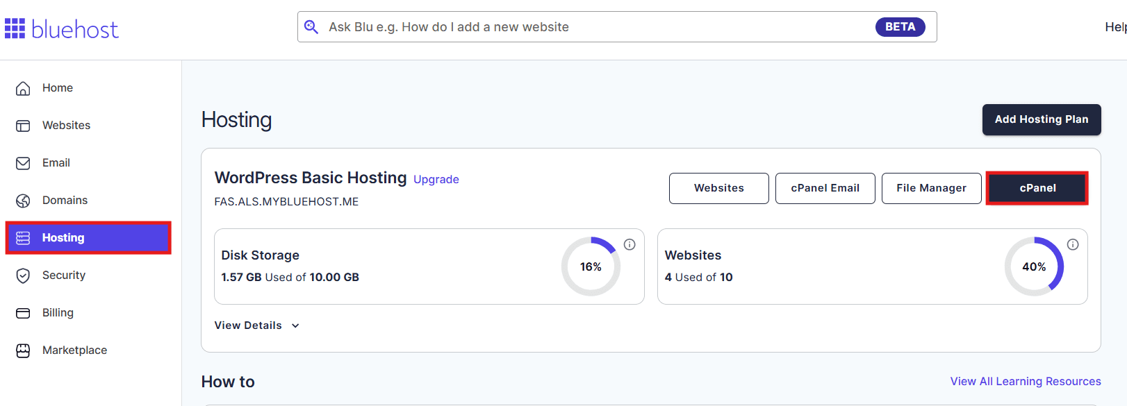 Click on ‘Hosting’ and then click on “cPanel’.