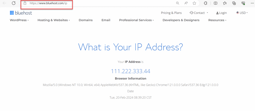 How to Find Your Public IP Address on Any Device