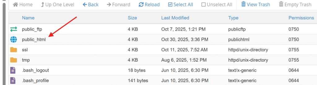 Open public_html folder
