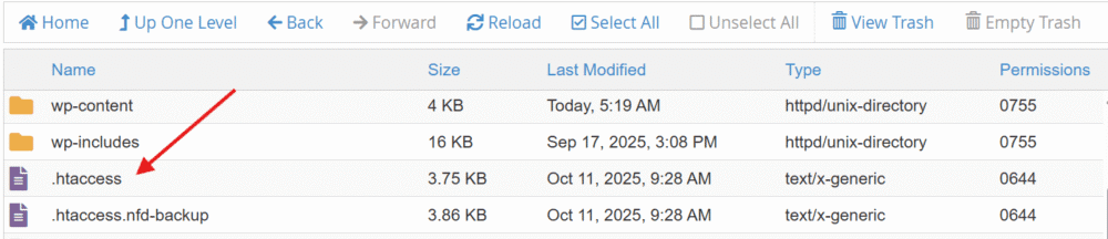 Change index.html File & Set a Custom Homepage in WordPress
