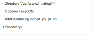 What is CGI? A Complete Guide to Understanding CGI Scripts