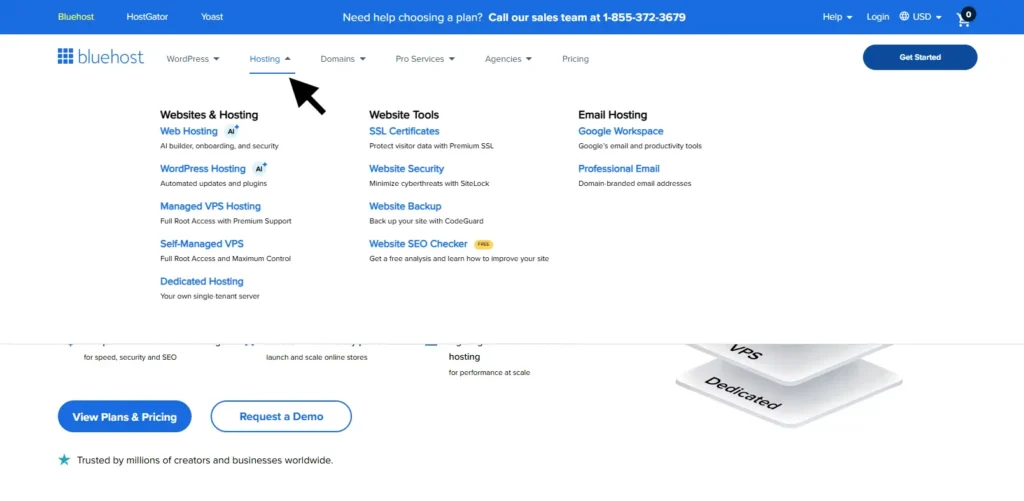 Select Web Hosting from Hosting tab