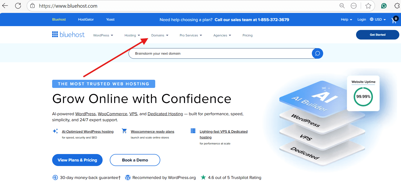Bluehost dashboard with arrow to domains tab for initiating domain ownership transfer process steps