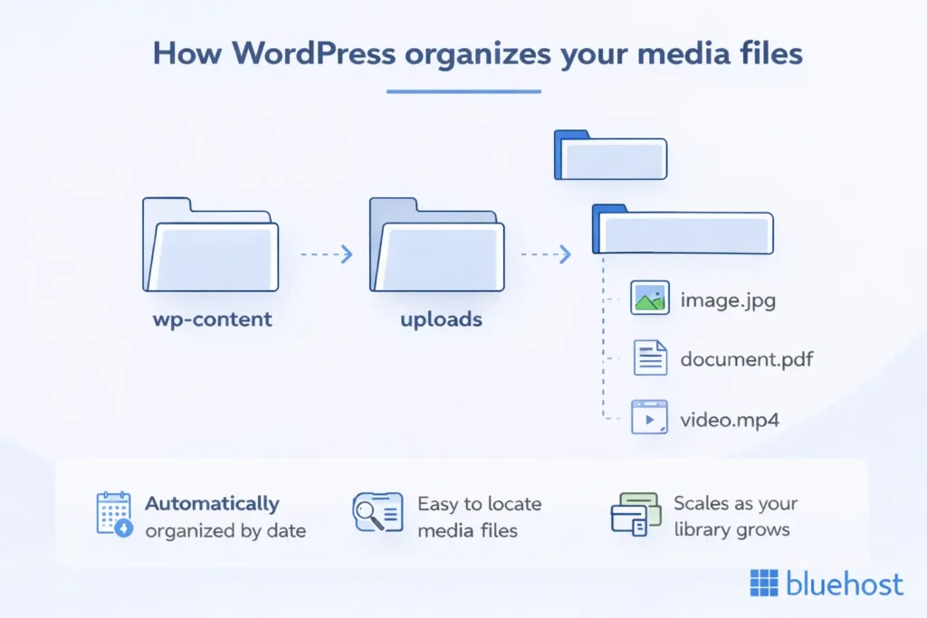 image showing how wp-content folder stores media files