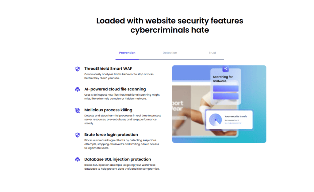 How Bluehost helps protect your website from cyberthreats?