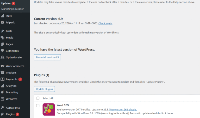 WordPress Plugin Issues & Theme Troubleshooting Solutions