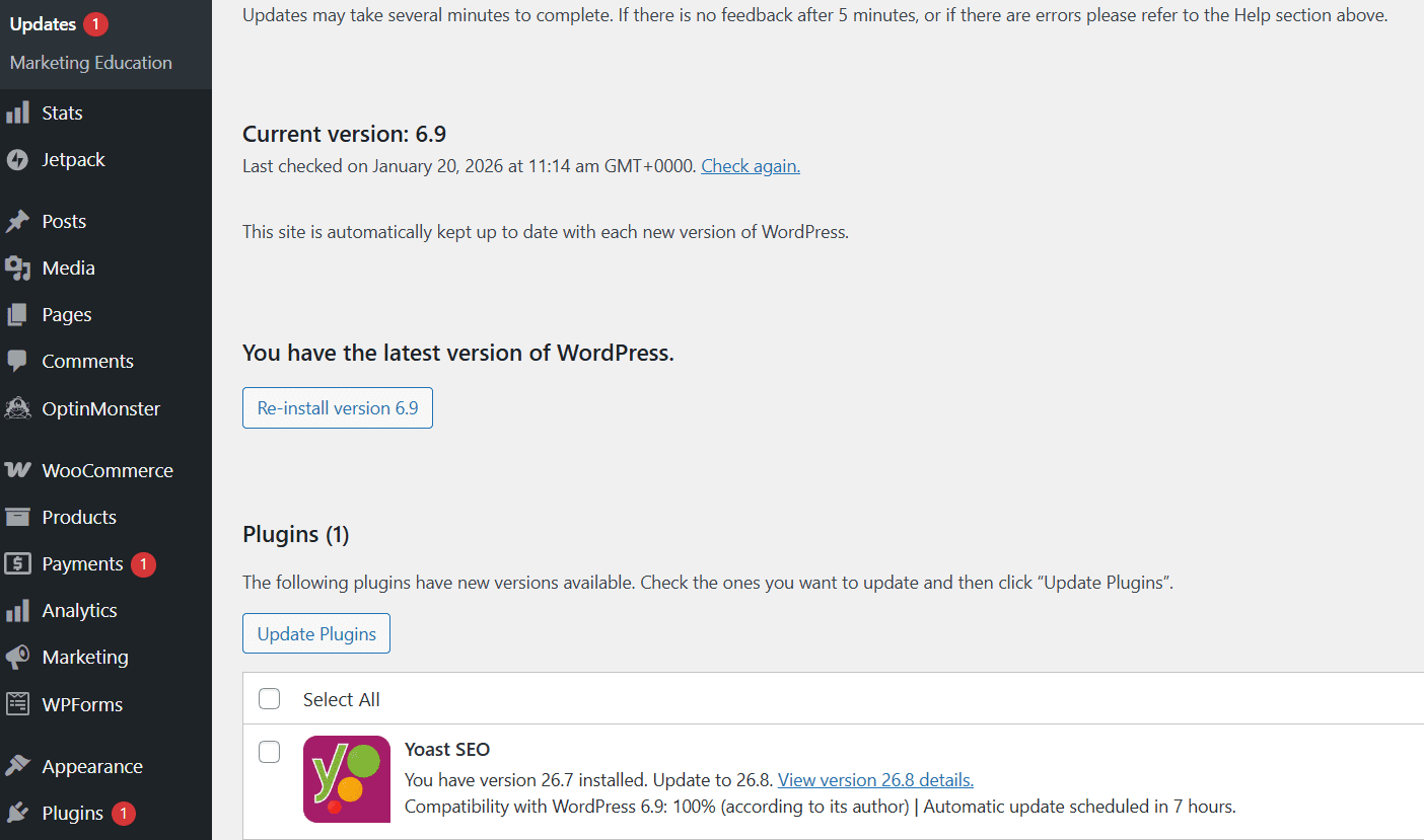 WordPress plugin issues update screen showing plugin version conflicts and troubleshooting options