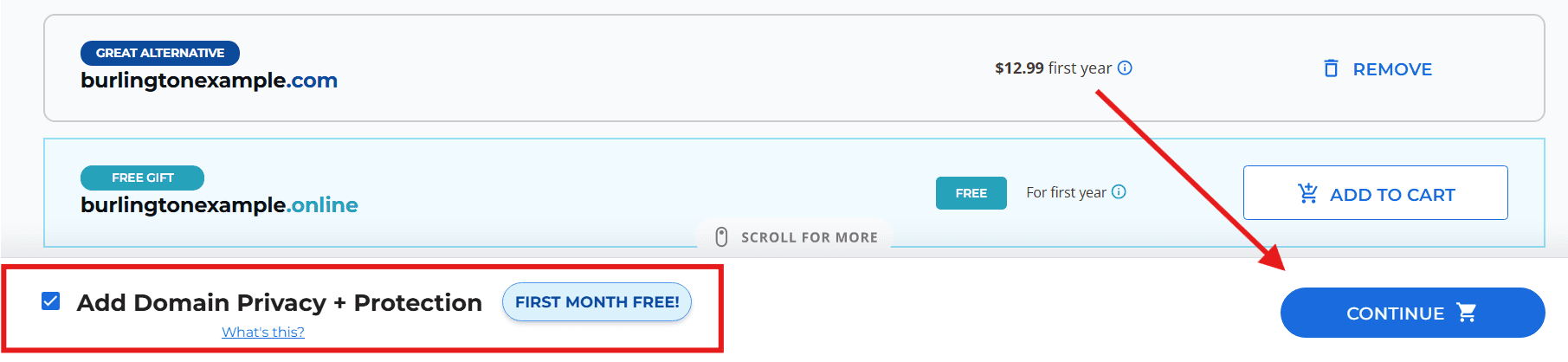 Expired domains checkout with domain privacy, protection and registration options for SEO benefits