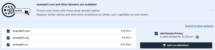 Domain privacy for agencies and clients with WHOIS protection during domain registration checkout