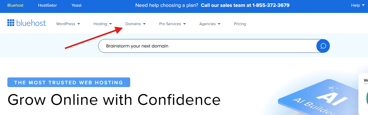 Bluehost dashboard with Domains tab highlighted for searching expired domains and boosting SEO traffic