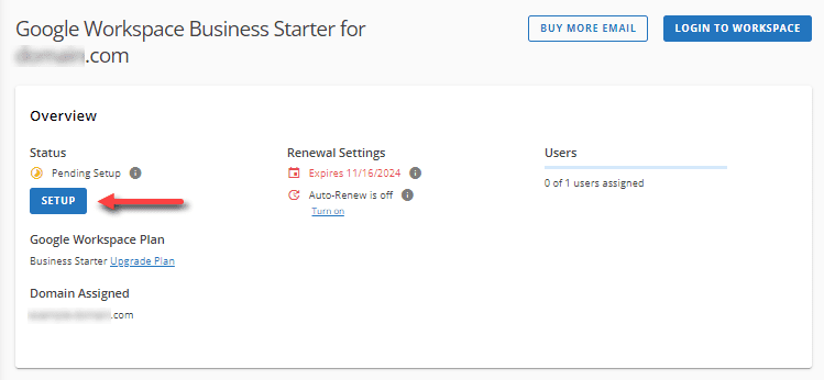 Gmail custom domain business setup screen showing Google Workspace setup step for business email