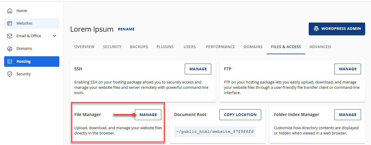 Go to the FILES & ACCESS tab and click MANAGE on the File Manager tile