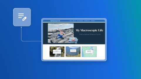 My Macroscopic Life: How One Travel Blogger Fixed a Slow Website and Started Growing Again