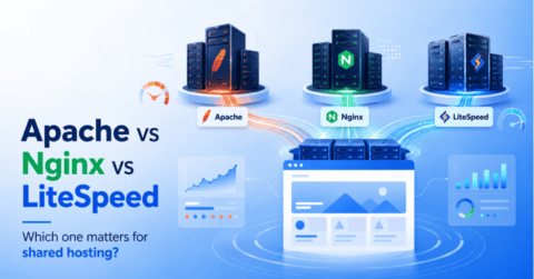 Apache vs Nginx vs LiteSpeed for Shared Hosting: Which One Actually Matters for Your Site? 