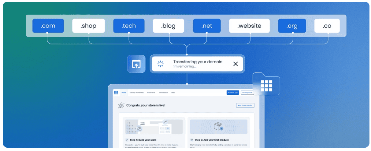 Bluehost for domain registration