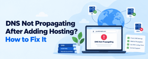 DNS Not Propagating After Adding Hosting? How to Fix It