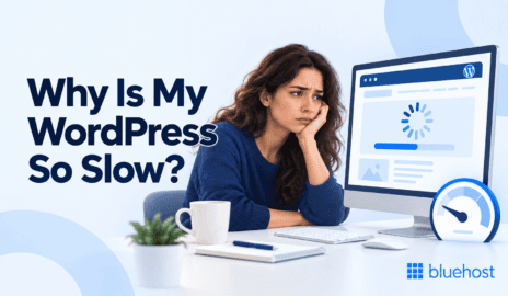 Why Is Your WordPress Site So Slow?