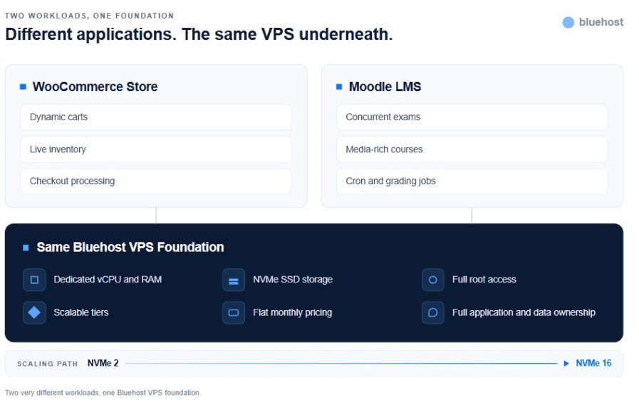 Bluehost two workloads