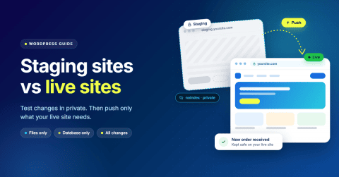 Staging Sites vs Live Sites: Differences, Updates and Safe Deployment