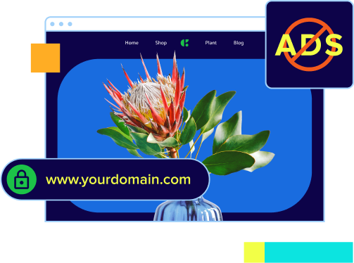 ad-free