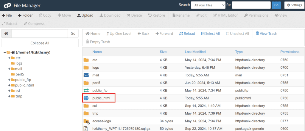 Gestionnaire de fichiers sur Bluehost
