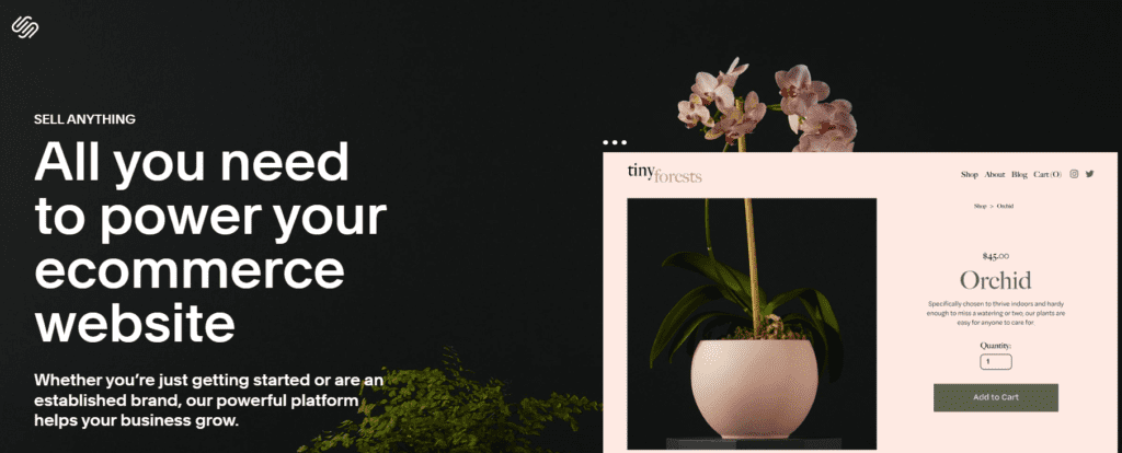 Squarespace Commerce